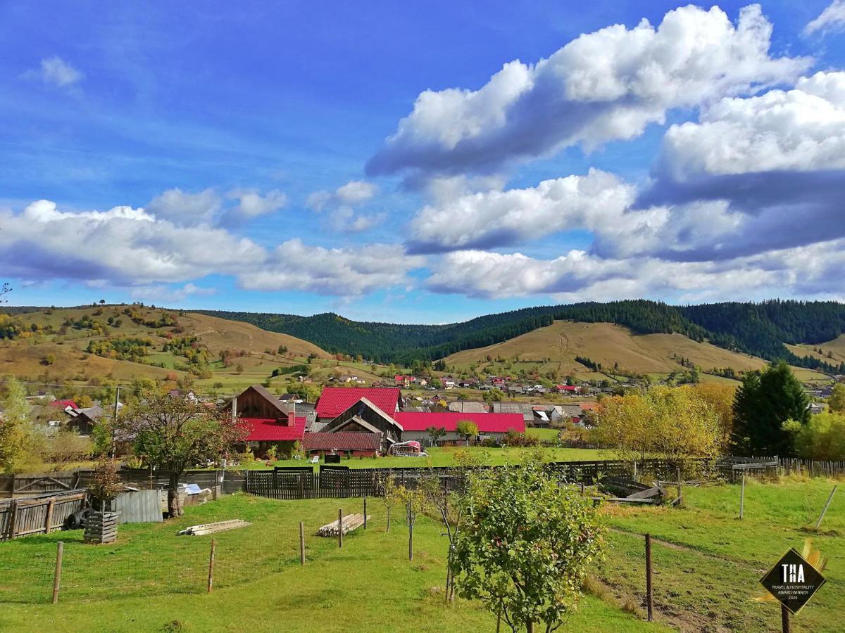 Hotel Casa Lacry Mînăstirea Humorului Exterior foto